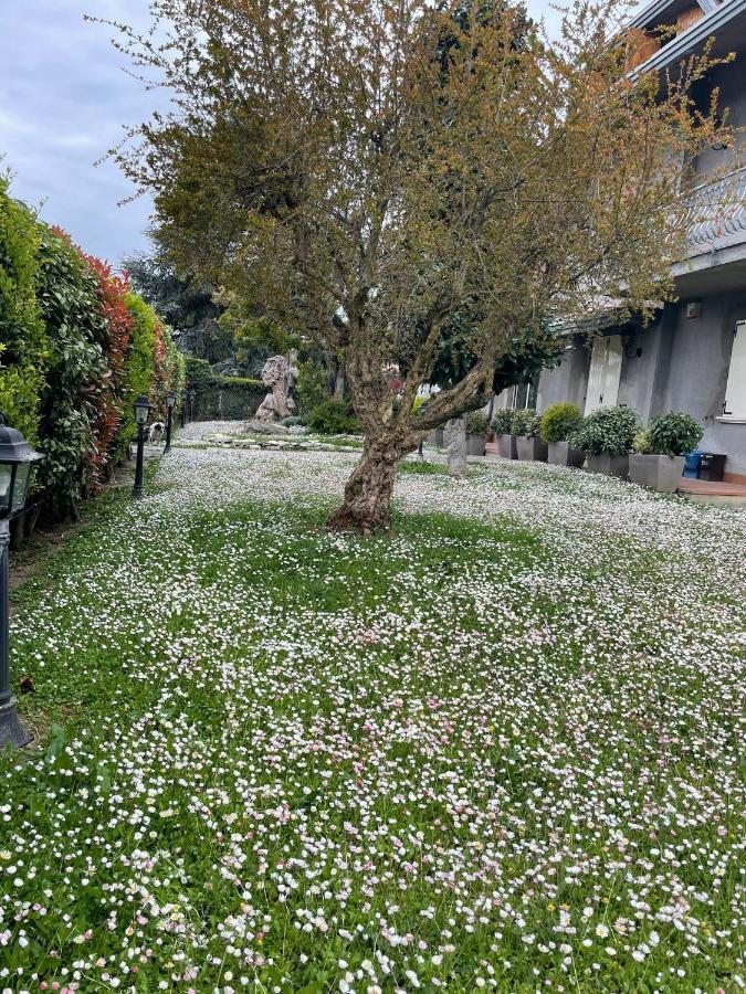 Magnolia Savignano sul Rubicone Exterior foto