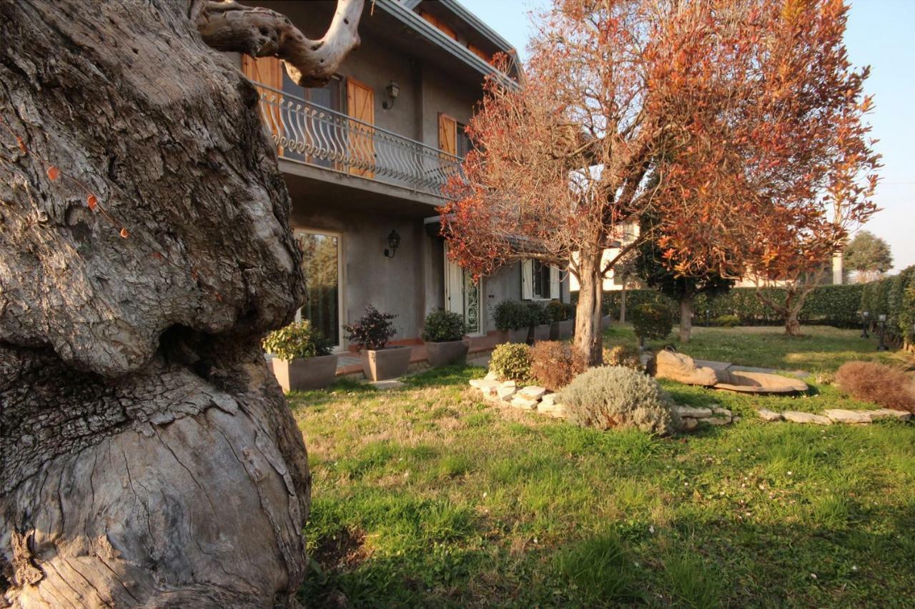 Magnolia Savignano sul Rubicone Exterior foto